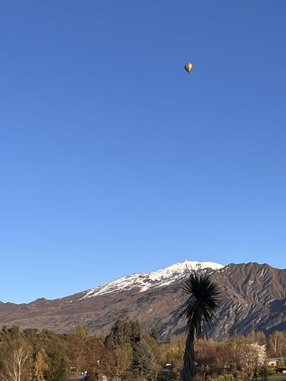 A colorful hot air balloon is floating in a clear blue sky above a snow-capped mountain range. In the foreground, a tall, spiky plant adds visual interest to the landscape. Location: Lake Hayes, Queenstown, New Zealand 
