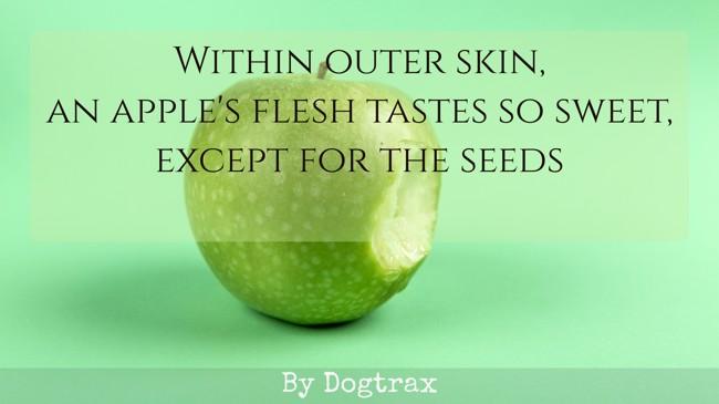 poem with image of an apple
Within outer skin,
an apple's flesh tastes so sweet,
except for the seeds
