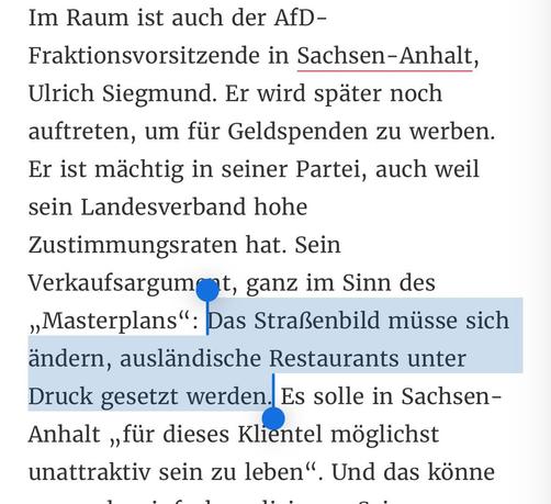 Im Raum ist auch der AfD- Fraktionsvorsitzende in Sachsen-Anhalt, Ulrich Siegmund. Er wird später noch auftreten, um für Geldspenden zu werben. Er ist mächtig in seiner Partei, auch weil sein Landesverband hohe Zustimmungsraten hat. Sein Verkaufsargument, ganz im Sinn des „Masterplans": Das Straßenbild müsse sich ändern, ausländische Restaurants unter Druck gesetzt werden. Es solle in Sachsen- Anhalt „für dieses Klientel möglichst unattraktiv sein zu leben". Und das könne