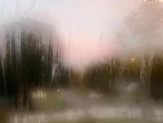 condensation covered my window this morning. looking through it seemed like an impressionist painting. 
on the left is a large tree (looks like a dark lump)
in the center is a pinkish area (pink sunrise)
various other light and dark patches