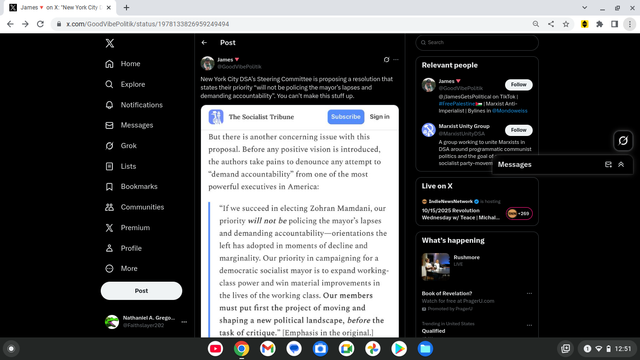 @GoodVibePolitik: New York City DSA’s Steering Committee is proposing a resolution that states their priority “will not be policing the mayor’s lapses and demanding accountability”. You can’t make this stuff up.