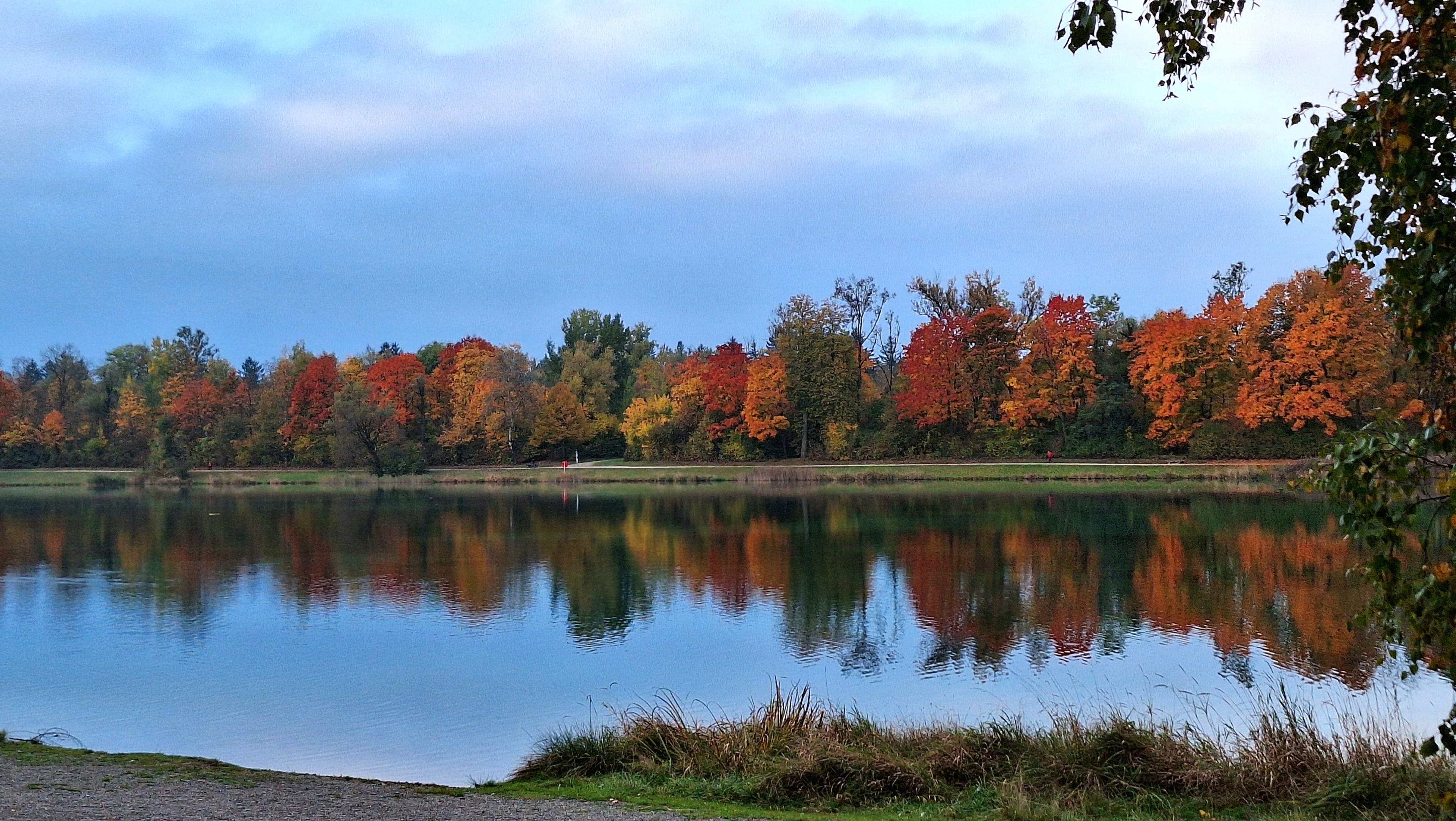 Bunt gefärbte Laubbäume spiegeln sich in einem See