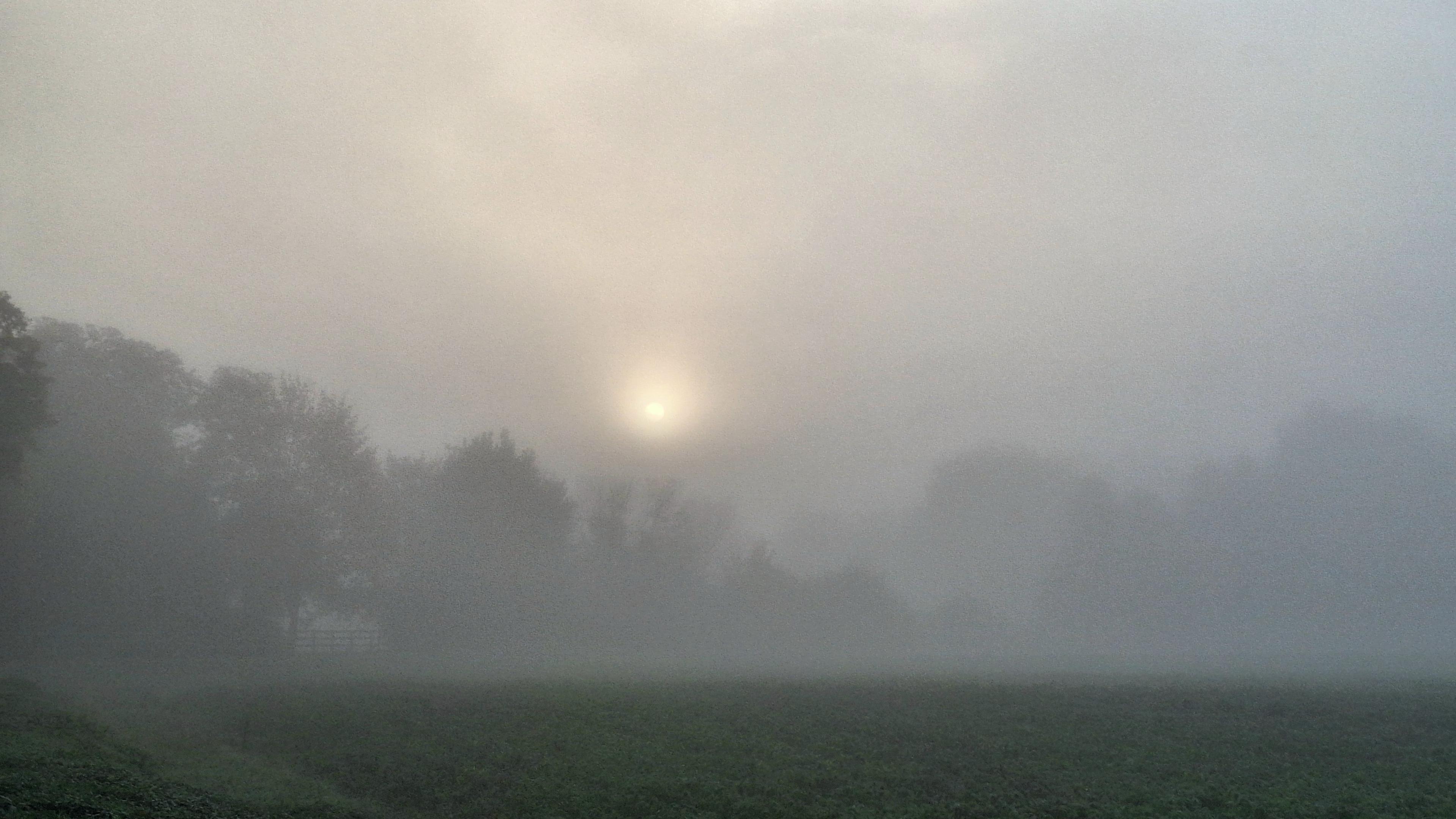 Die Sonne setzt sich nur schwach durch dichten Nebel durch. Feld und Bäume sind vom Nebel verhüllt.