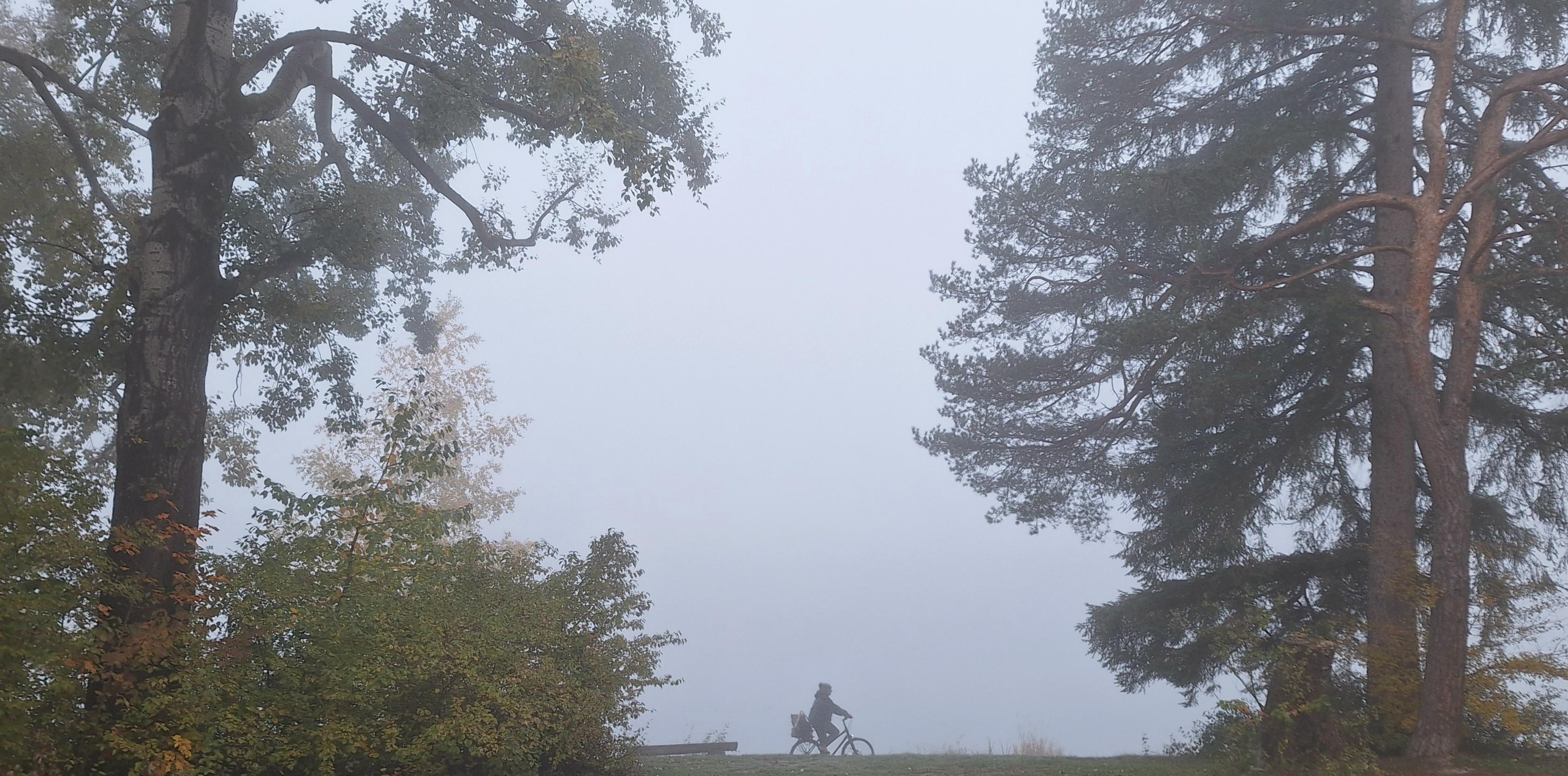 Bäume im Nebel, dazwischen ganz klein die Silhouette einer Radfahrerin