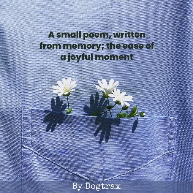 poem with image of flowers in a pocket
A small poem, written
from memory; the ease of
a joyful moment