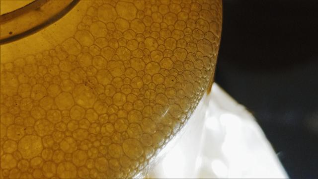 #Macro, #BubbleTexture, #YellowFoam, #GoldenAbstract, #LiquidPattern, #Froth, #Closeup, #Detail, #Spherical, #Microscopic, #Vibrant, #Structure, #Illuminated, #Translucent, #Fluid, #Micro, #Design, #Unique, #VividPhotography, #Trending, #HighRes, #Science, #Cosmetic, #Serum, #Oil, #Skincare, #Beauty, #Chemistry, #Beer, #Carbonation, #Fizzy, #Round, #Geometric, #Organic, #SurfaceBackground, #DigitalArt, #Wallpaper, #AbstractArt, #Detailed, #Nature, #Rich, #Bright, #StockPhoto, #Digital