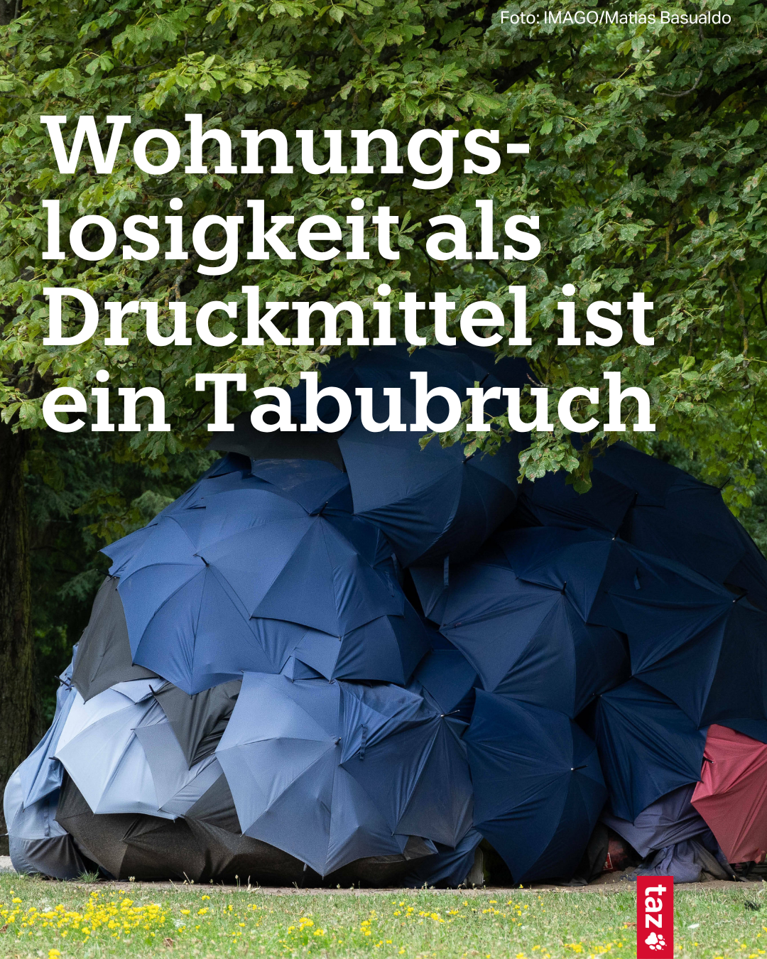 Mehrere Regenschirme liegen übereinander gestapelt auf einer Wiese in einem Park, sodass sie eine Zelt ähnliche Form ergeben. Text: Wohnungslosigkeit als Tabubruch.