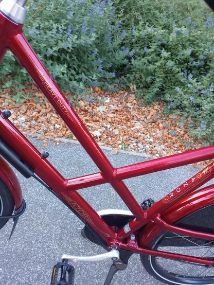 This is a close-up shot of the middle portion and frame of a glossy red bicycle. The frame is a unique design with angled supports and a visible step-through section. On the left side of the frame, there is text that reads “AZOR”. A slightly angled portion of the frame towards the right has text that says “AZOR” as well. The bicycle has black pedals and a black rear wheel partially visible. The background consists of gray pavement and scattered yellow leaves.