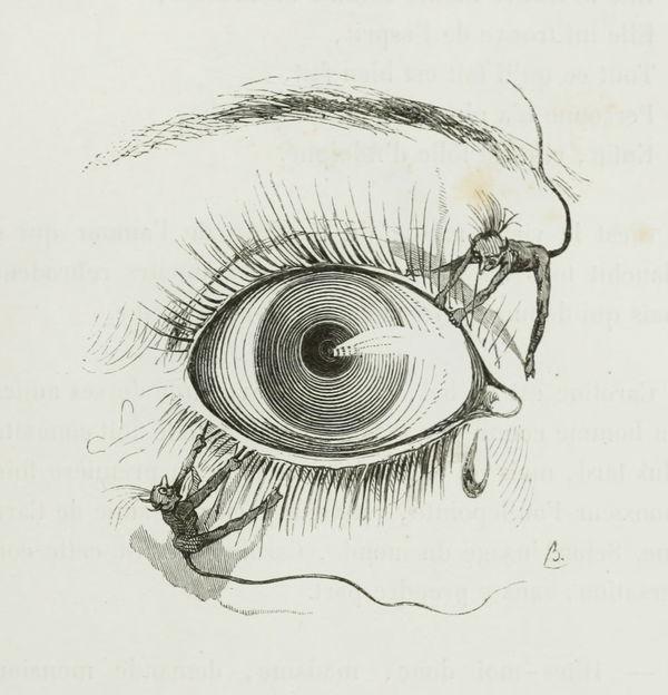 “Les Révélations Brutales”, illustration by Bertall (Charles Albert d’Arnoux) from Balzac’s Petites misères de la vie conjugale (1846)
Fuente: https://archive.org/details/petitesmisres00balz/page/272/mode/2up
