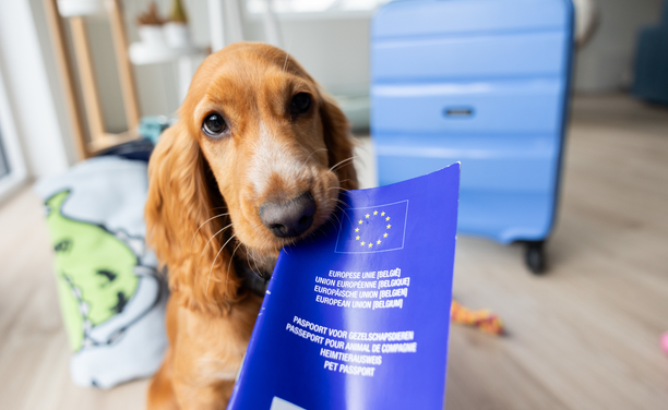 Un gos amb el passaport europeu per a mascotes (ACN/Unió Europea)