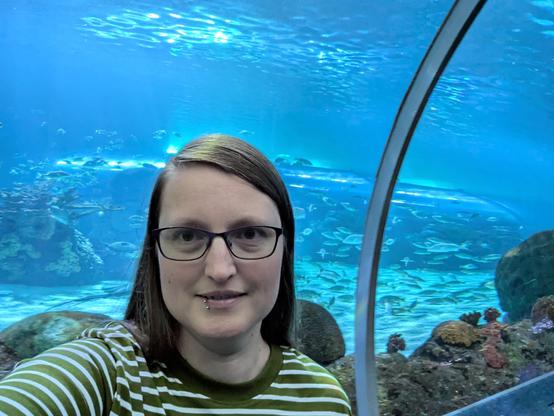 A selfie at Ripley's Aquarium, in an underwater glass tunnel with a shoal of fish behind me