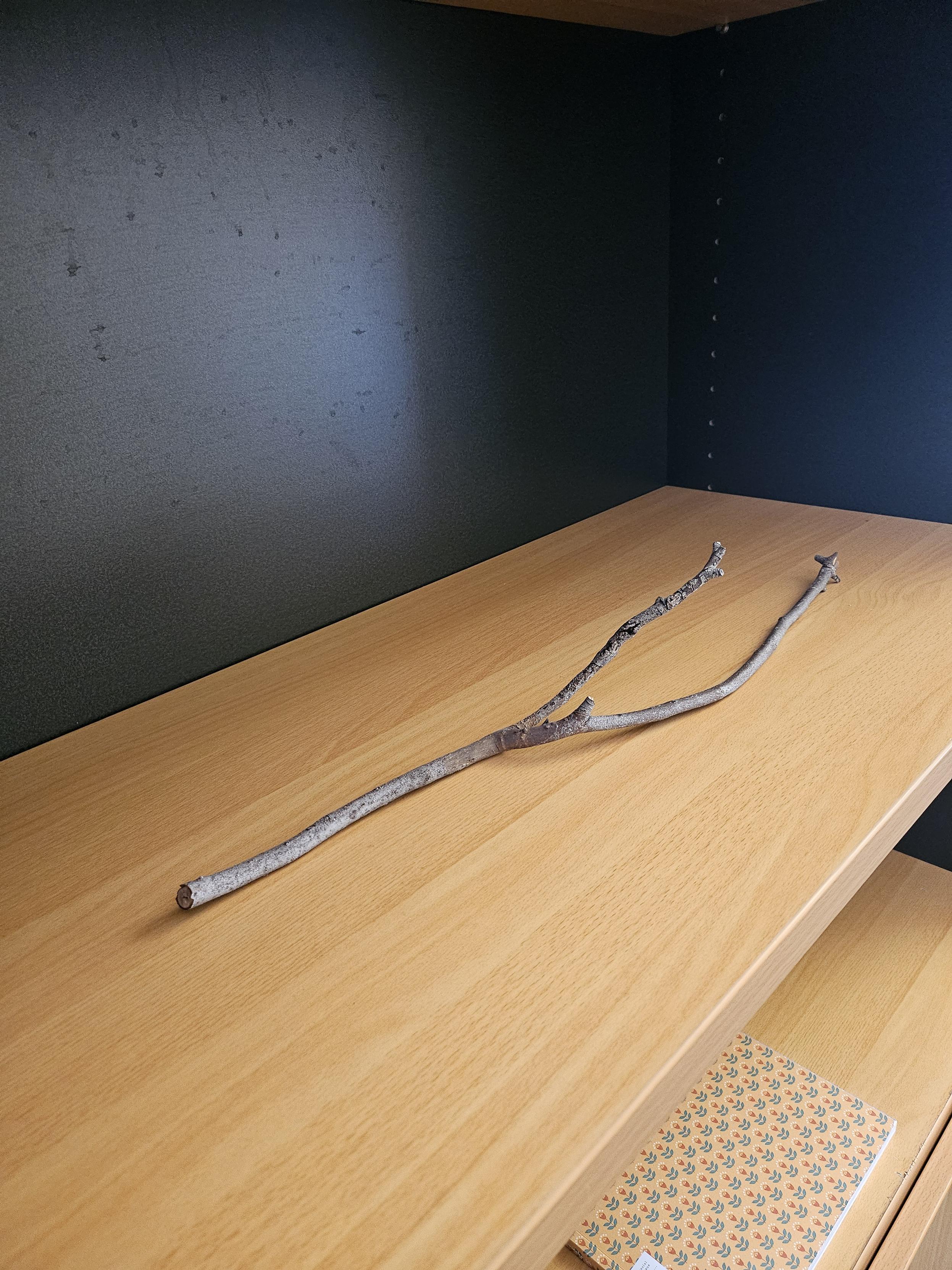 A single branch is placed on a wooden shelf
