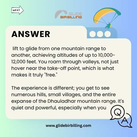 𝐖𝐡𝐢𝐜𝐡 𝐏𝐚𝐫𝐚𝐠𝐥𝐢𝐝𝐢𝐧𝐠 𝐈𝐬 𝐭𝐡𝐞 𝐁𝐞𝐬𝐭 𝐢𝐧 𝐁𝐢𝐫 𝐁𝐢𝐥𝐥𝐢𝐧𝐠?