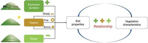 Effect of topography and livestock exclusion on soil properties, relationship between soil and vegetation characteristics.