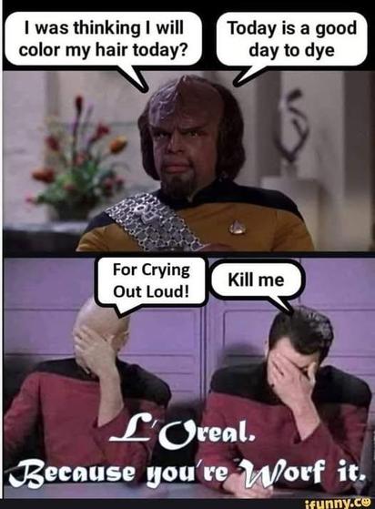 I was thinking I will color my hair today? Today is a good day to dye. For Crying Out Loud! Kill me. L'Oreal. Oreal. Because you're Worf it.