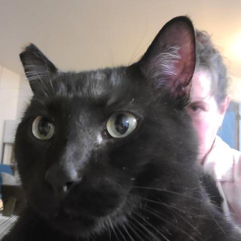 cat in front of human both looking slightly off center towards the camera.