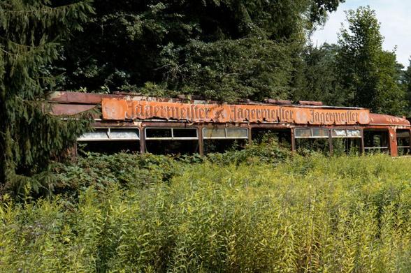 A long, rusty, dilapidated bus is partially obscured by overgrown green vegetation. The bus appears to be abandoned and in a state of significant disrepair, with many windows broken or missing. The exterior is heavily corroded, exhibiting shades of orange and brown rust. The roof of the bus features repeating text that reads "Jägermeister" multiple times. The surrounding landscape is dominated by tall grasses and trees, contributing to a sense of neglect and isolation.