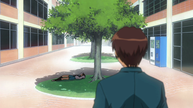 A boy (Kyon) approaching a tree with a girl (Haruhi) laying under it.