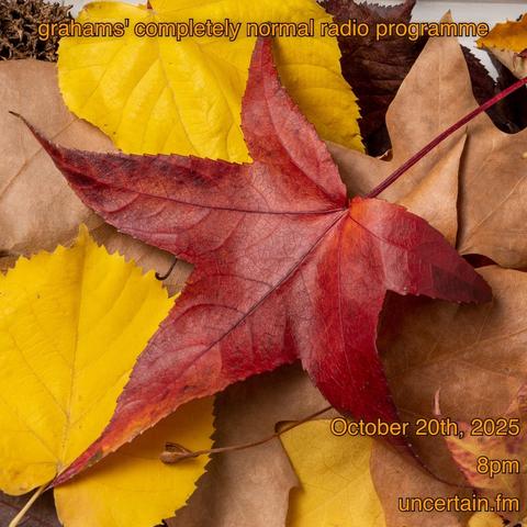 Closeup of several autumn-colored leaves.

Orange text overlaid promoting a radio show, details in the main post.
