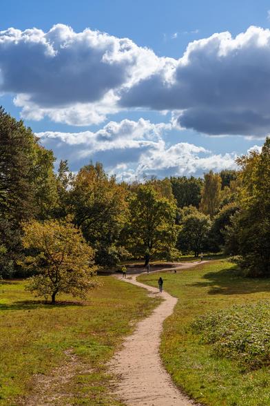 A scenic, winding dirt path leading up a gentle grassy slope into a wooded area under a dramatic blue sky filled with large white cumulus clouds. Several small figures are walking along the path or nearby.