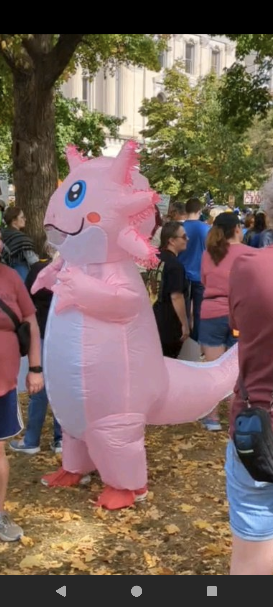 Pink axolotl inflatable costume