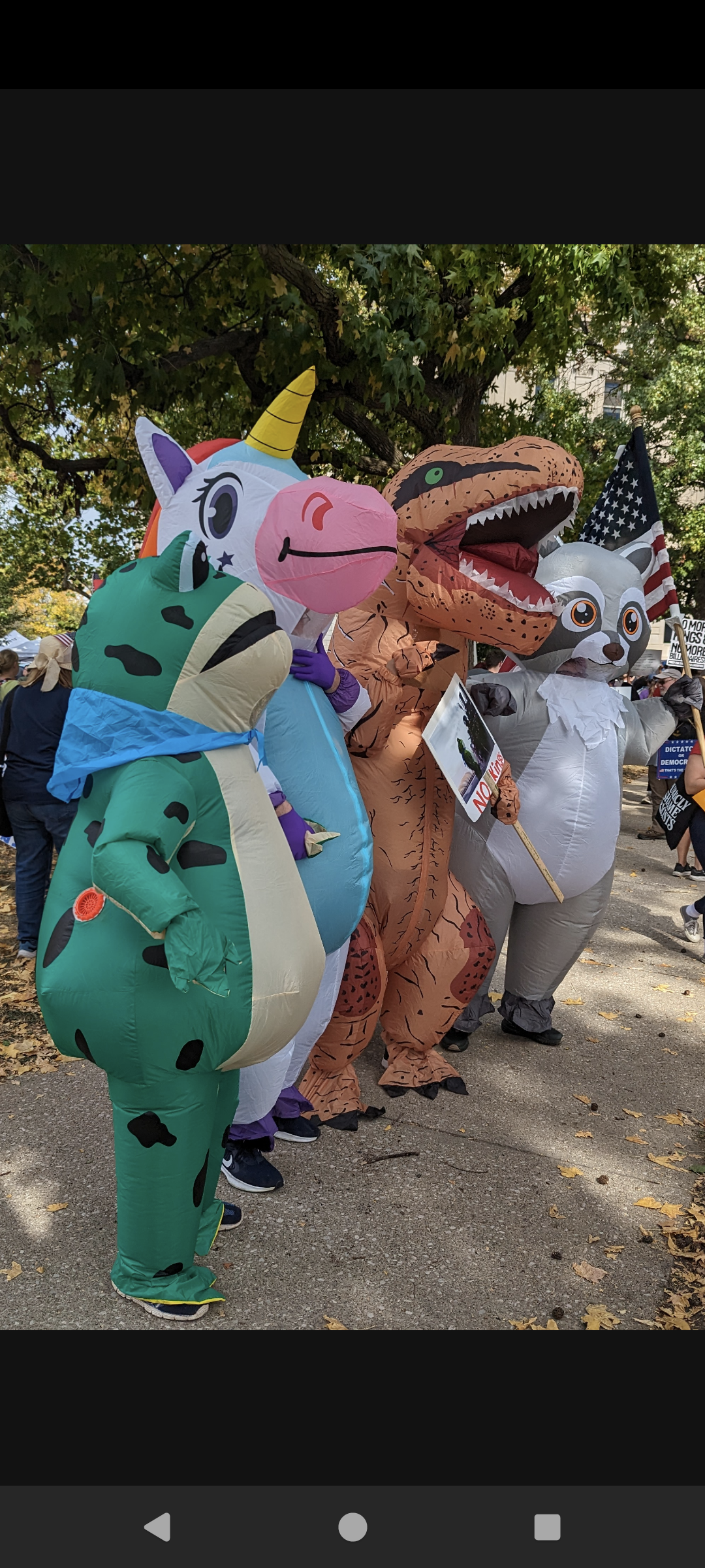 Inflatable costumes portland frog, rainbow unicorn, tr-ex, trash panda