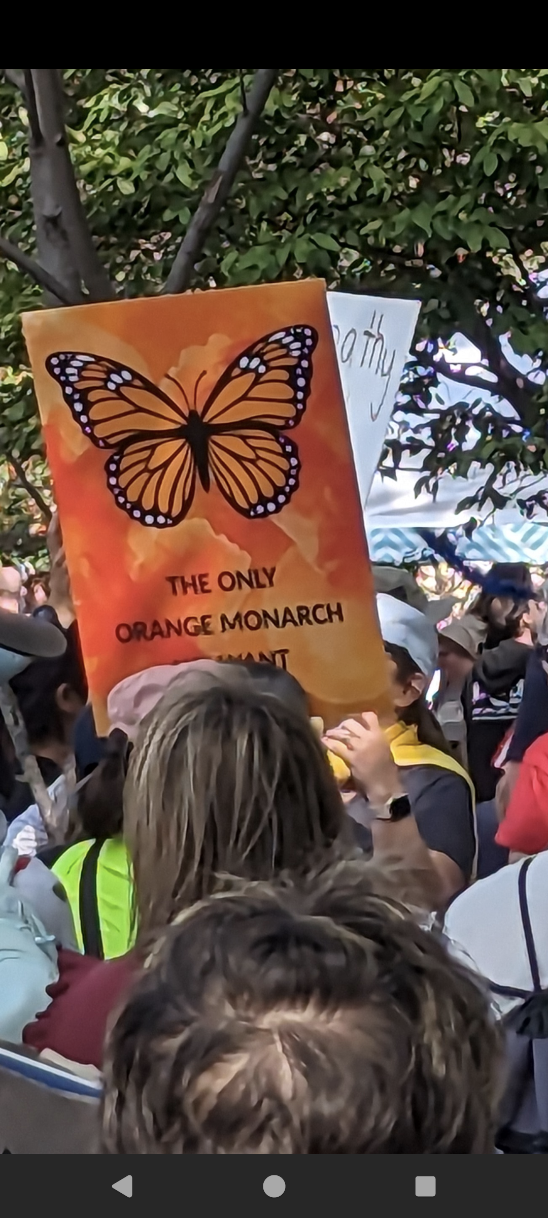 Protest sign of monarch buttery saying the only monarch we want