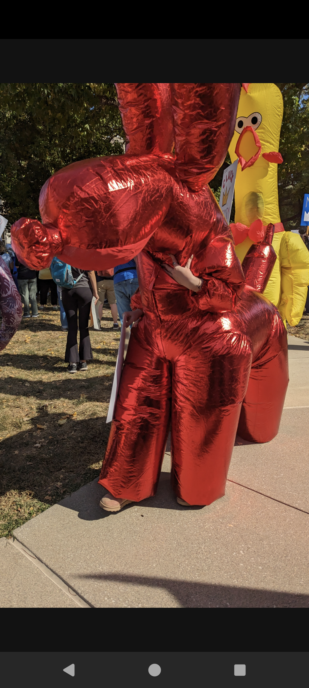 Inflatable costume of red metallic balloon animal dog
