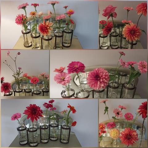 Collage of 6 different arrangements in same bud vase.