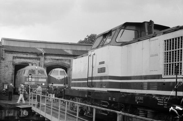 Schwarzweißfotografie.
Eine helle Diesellok mit dunklen Zierstreifen steht auf einer Drehscheibe. Auf ihrem Schild steht "V100 003" - es handelt sich um eine V100 der Deutschen Reichsbahn.
Im Hintergrund stehen z.T. in einem Ringlokschuppen eine BR 218 (Bundesbahn) und eine BR 119 (Reichsbahn), die von Menschen betrachtet werden.
