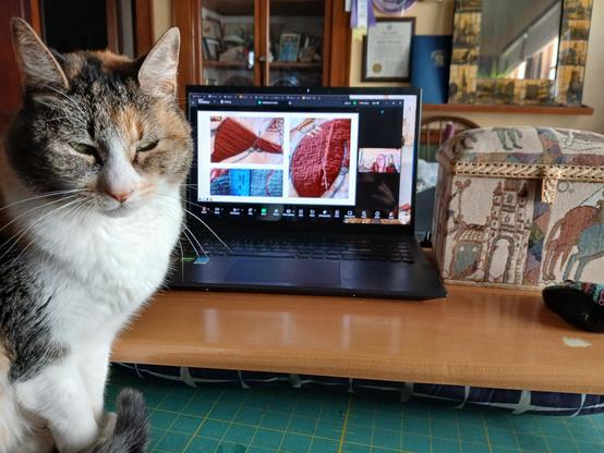 The nuisance calico sits to the left on the table covered by a cutting mat, between me and the zoom meeting that has a side of embroidery stitches. Also on the table is my Bayeux Tapestry covered sewing box. 