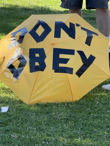 Yellow umbrella with the words don’t obey printed on it