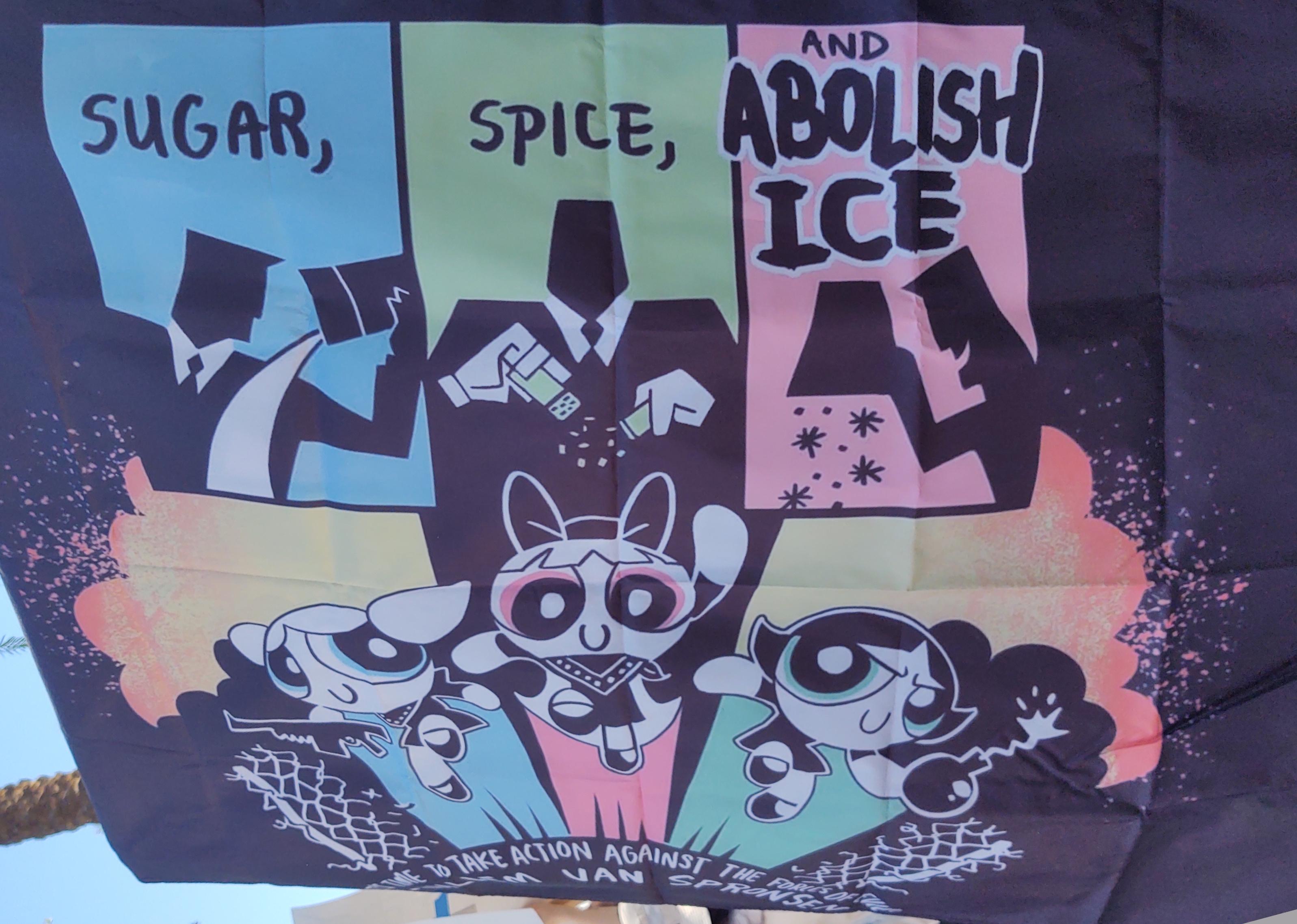 Poster of Powder Puff Girls showing the girls in their iconic launch formation
Above them it says, "Sugar, Spice,  and Abolish ICE"