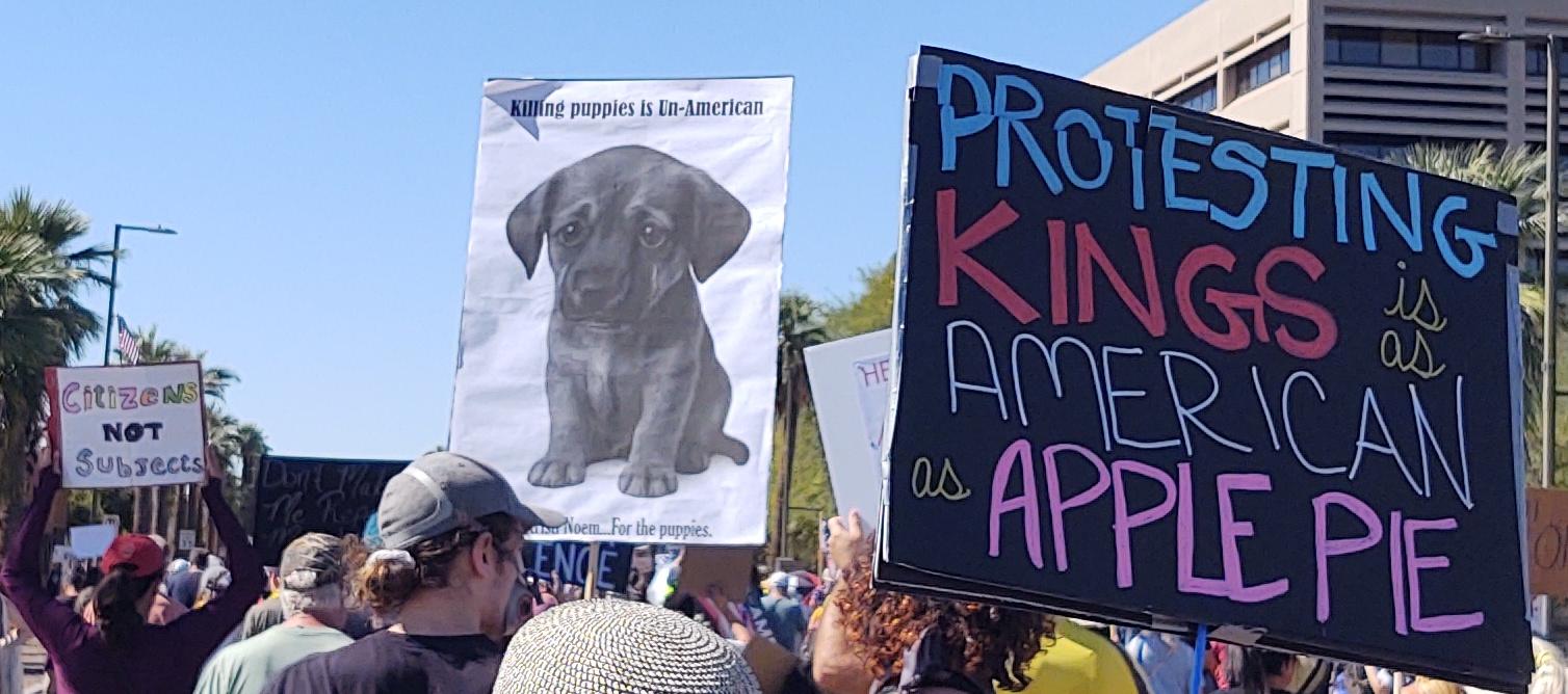 Three signs visible, "Protesting Kings is as American as Apple Pie", "Killing Puppies is Unamerican" with a puppy and sad puppy dog eyes and obscured mention of puppy killer Kristy Noem, "Citizens not Subjects"