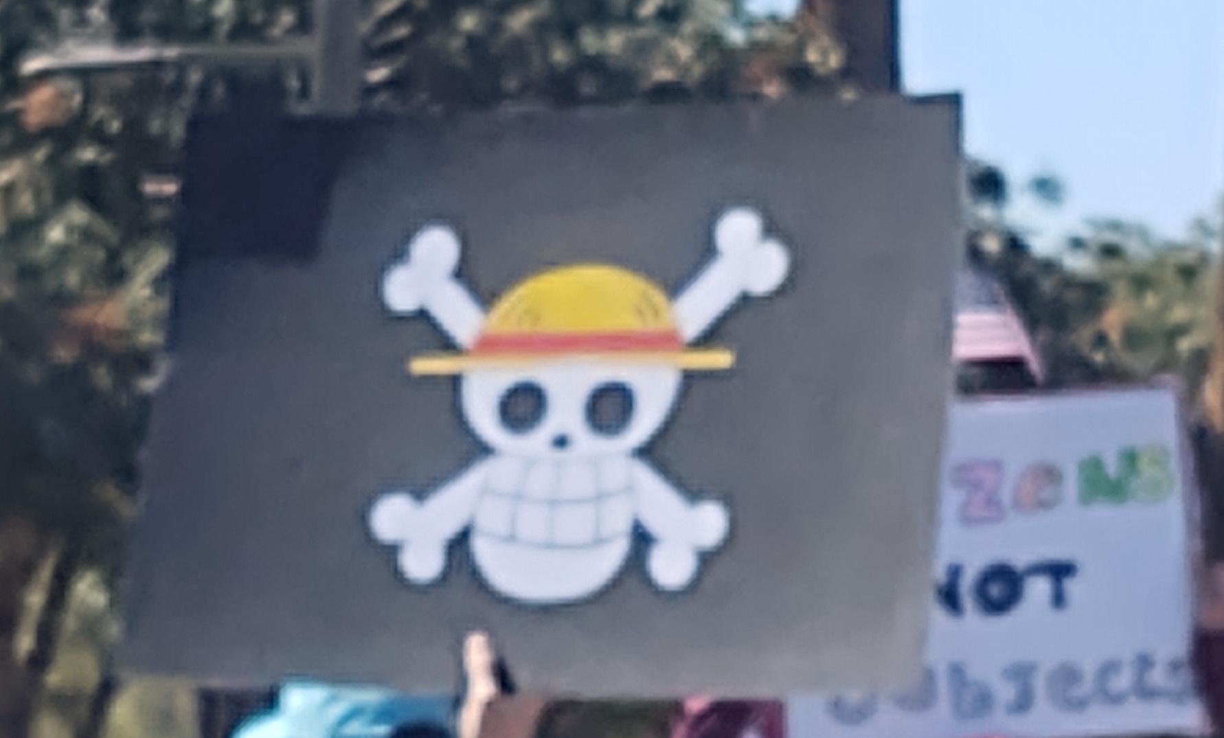 Logo from Straw Hat Pirates from the "One Piece" anime series