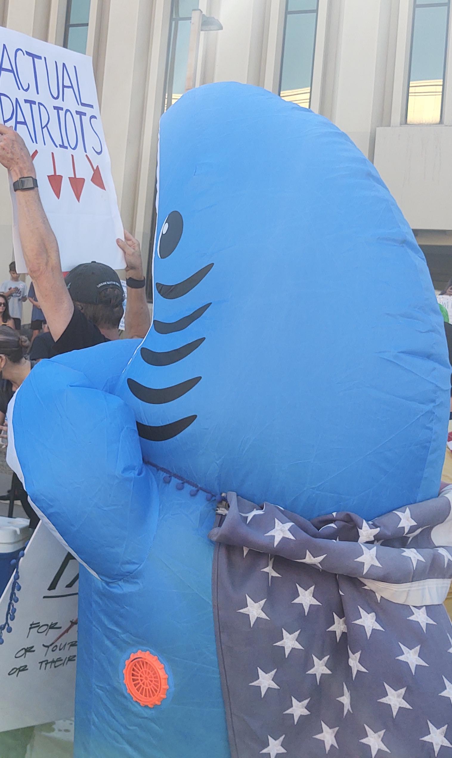 Person in inflatable shark costume. Yeah, who knew that would ever be a thing. Shark is wearing an American flag cape
In front companion has a sign saying "Actual Patriots" with arrows pointing down at the shark