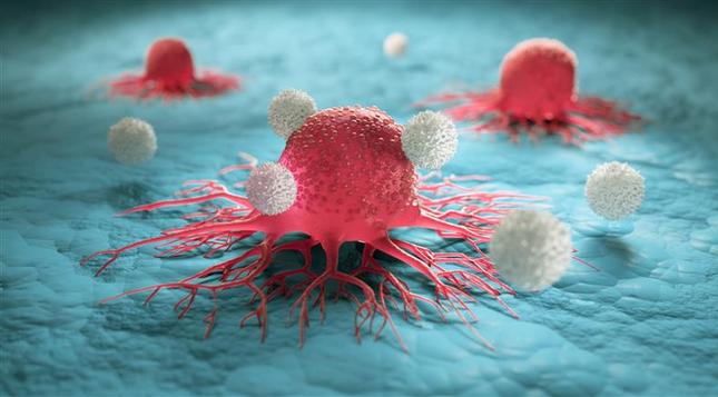 El medicament s'adhereix a les cèl·lules tumorals i els descarrega quimioteràpia (iStock / peterschreiber.media)