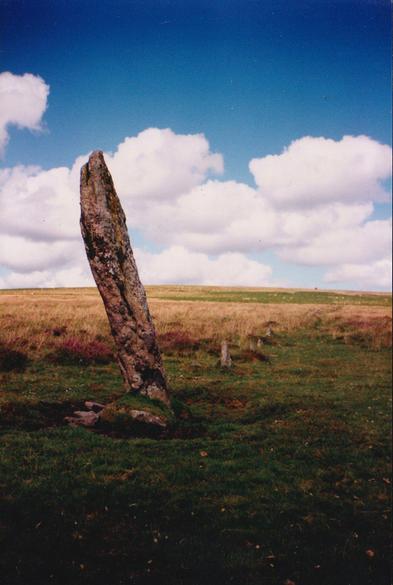 Colour photograph of the 2.3m tall menhir at the end of a prehistoric stone row at Drizzlecombe on Dartmoor. The moor is parts short green grass and longer wheat-coloured grass, with small areas of purple. Very sunny with a beautiful blue sky and some low fluffy white clouds.