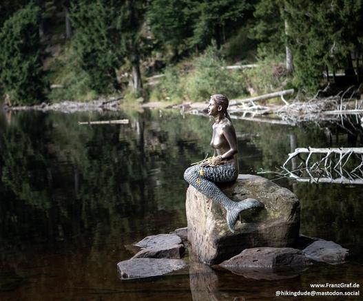 Nestled along the tranquil edge of a dark, glassy forest pool, a bronze statue of a mermaid rests gracefully upon a weathered rock. Her serene gaze drifts across the still water, which mirrors the surrounding lush greenery and tangled branches of the dense woodland. The mermaid’s shimmering tail, intricately detailed, drapes elegantly over the rock, blending artistry with nature’s quiet beauty. Sunlight filters softly through the canopy, casting dappled reflections on the water’s surface, enhan…