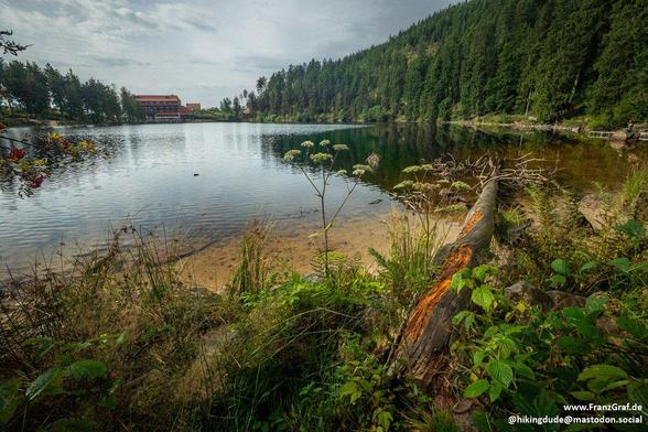 Nestled beneath a brooding, overcast sky, this tranquil mountain lake exudes a quiet, reflective beauty. The water’s glassy surface mirrors the surrounding evergreen forest, their deep emerald hues blending seamlessly with the muted grays of the clouds above. On the far shore, a striking red building peeks through the trees, its bold color contrasting with the natural palette of greens and browns.

The lake’s edge is lined with wild vegetation—tall grasses sway gently, while fallen logs and sca…