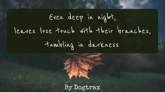 poem with image of a leaf, falling
Even deep in night,
leaves lose touch with their branches,
tumbling in darkness