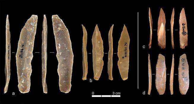 Outils en pierre de l’Ahmarien à Ksar Akil (a et b) et du Protoaurignacien à la Grotte de Fumane (c) et à la Grotte de Castelcivita (d). 