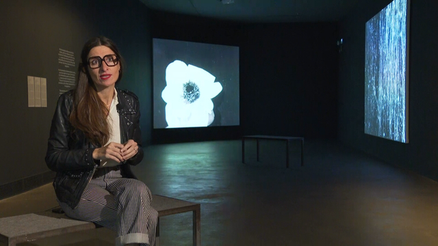 La directora de la Fundació Tàpies, Imma Prieto, a l'exposició sobre Dulac (3CatInfo)