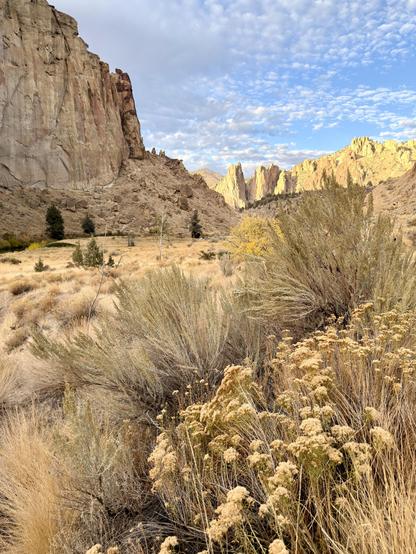 A rocky landscape features towering cliffs and rugged rock formations. In the foreground, dry grasses and bushes are scattered throughout the arid terrain, illuminated by soft sunlight under a partly cloudy sky.