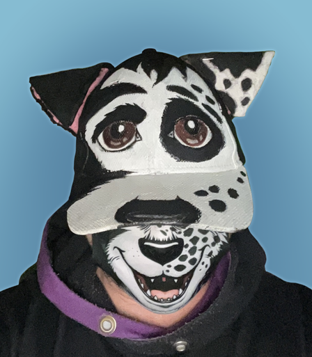 Closeup photo of my face in costume, tilted down. If done correctly, it would create the illusion of a complete cartoon border collie face.  It is not quite done correctly here.  Same background.