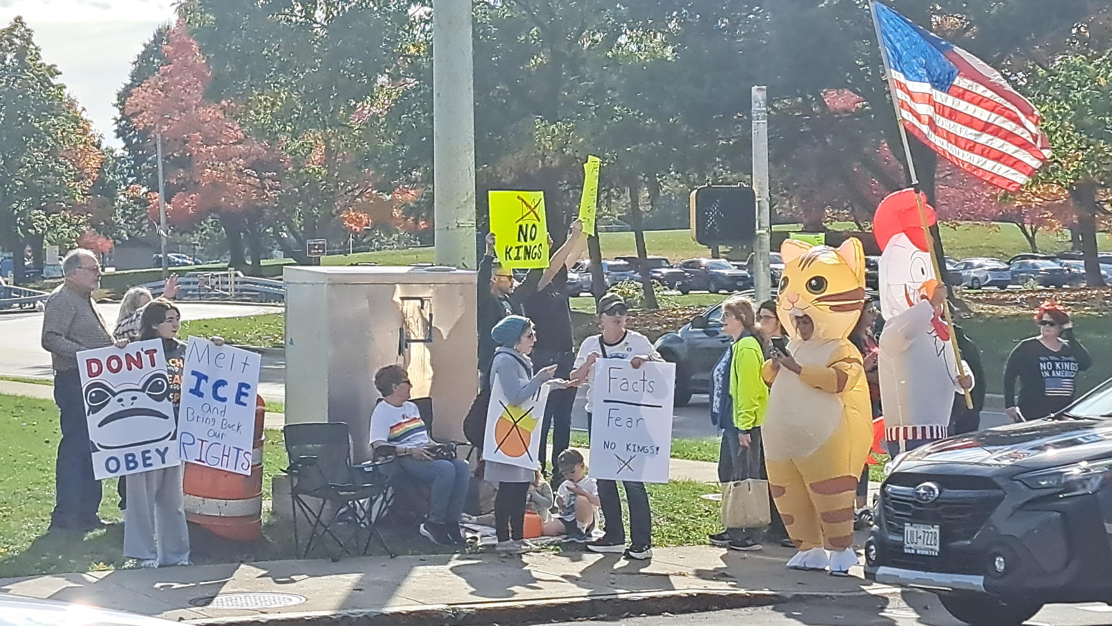 "don't obey" sign
"melt ICE and bring back our rights" sign
"no kings" sign
"facts over fear no kings" sign
people in inflatable costumes with an american flag