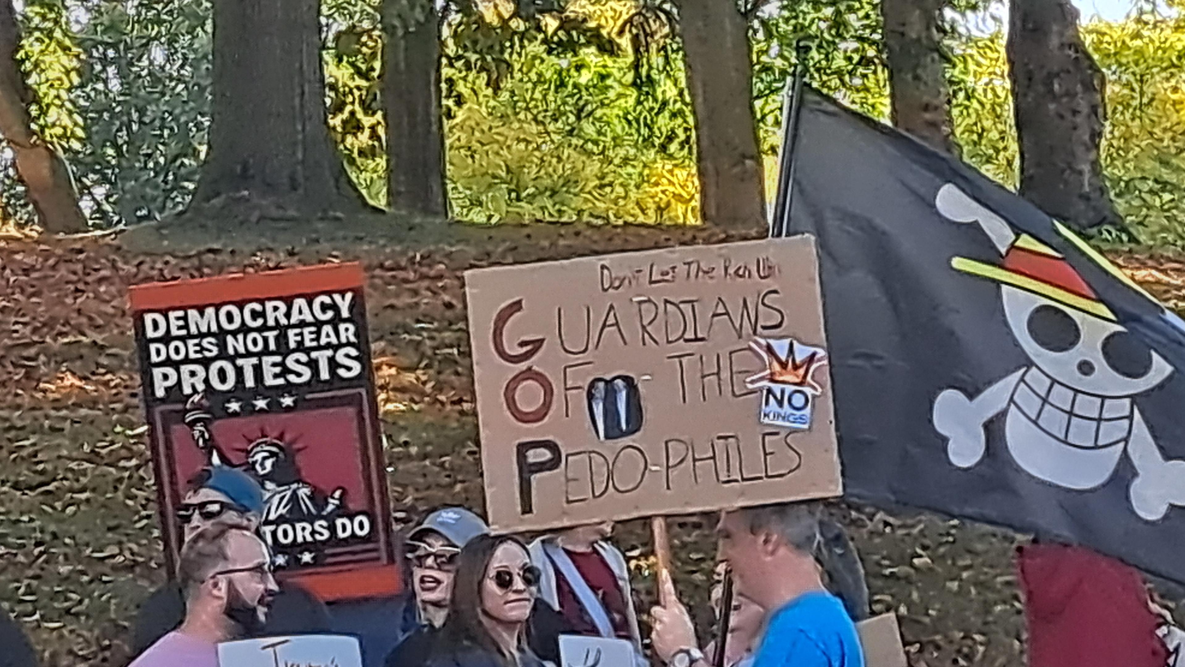"democract does not fear protests" partial sign (rest blocked)
"don't let the rich win. Guardians Of the Pedophiles (GOP). No kings" sign
One Piece Straw Hat flag
