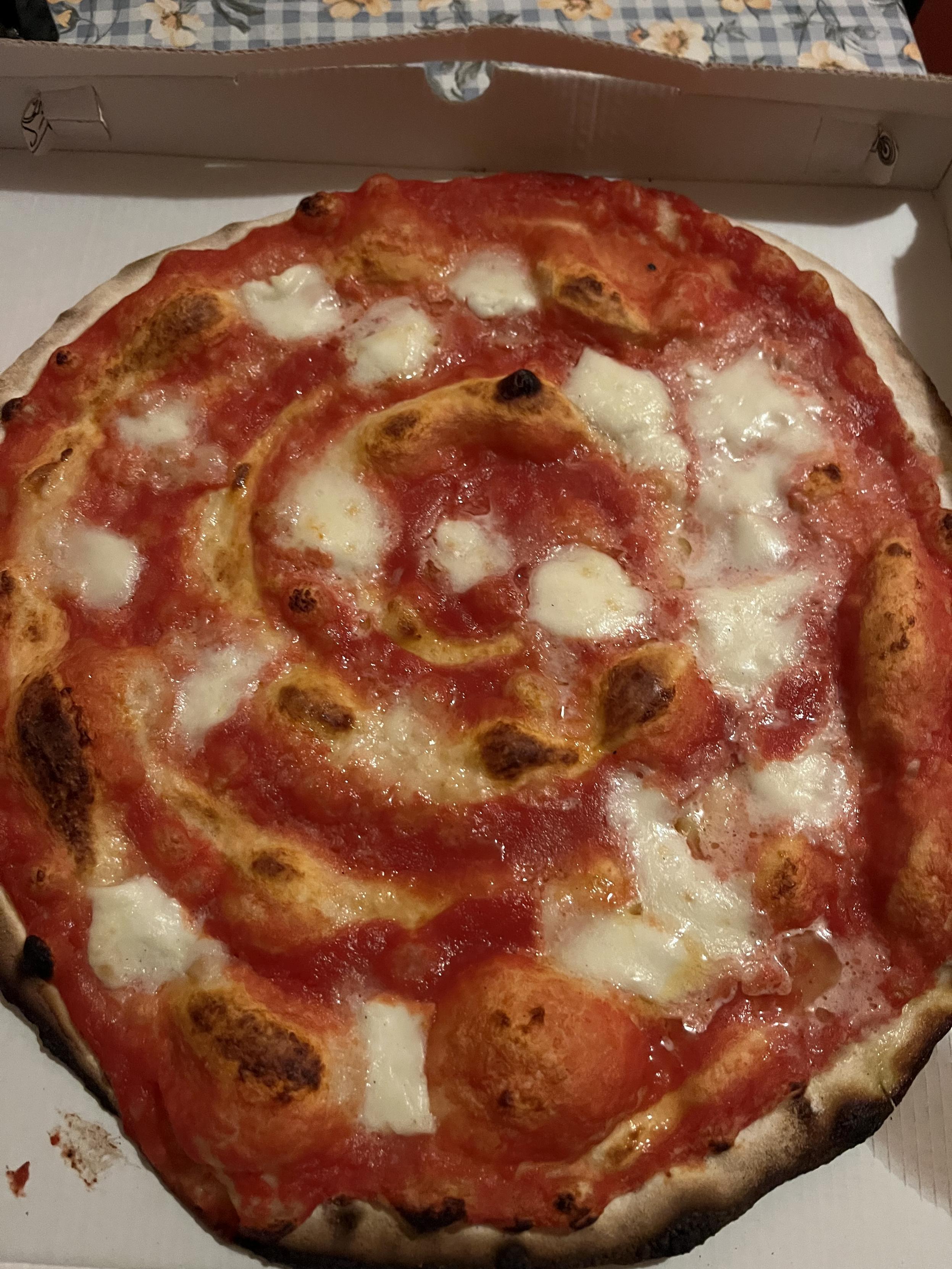 Pizza "DOC" from Conte Vico in Fossato di Vico. Tomato and Mozzarella di Buffa.