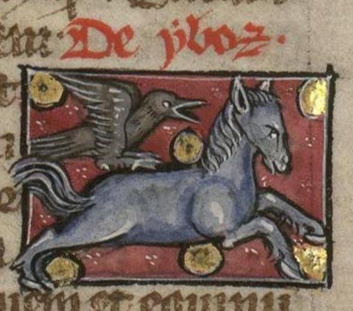 In a square frame on a manuscript page, against a gold-spotted red background, a very angry-looking grey/black crow-style bird is attacking a blue-grey galloping horse which is giving the bird the stink eye. Image from Bibliothèque Municipale de Valenciennes, MS 320 (Liber de natura rerum), folio 101r.