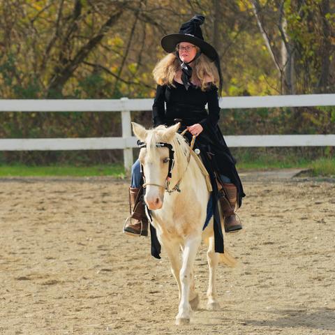 Woman with long blonde hair wears a black witch cap and matching dress while riding a white horse with a black halter in a sandy ring with two white rails in back